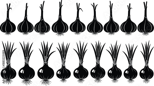 Black and white onion and garlic bulb silhouettes, minimalist vegetable row illustration, clean farm icons, organic garden food vector pattern,