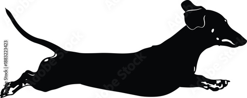 Black dachshund dog silhouette jumping in mid-air, running wiener dog profile, jumping puppy on white background, active pet animal vector,