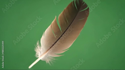 A single brown feather floats against a vibrant green background, symbolizing lightness and nature.