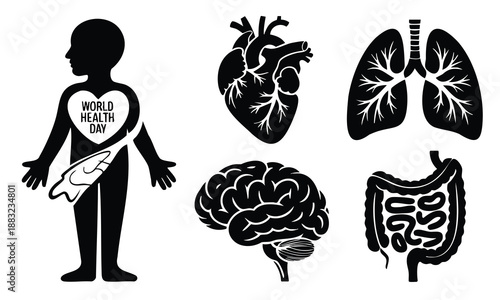 World Health Day silhouette icons set human internal organs collection medical