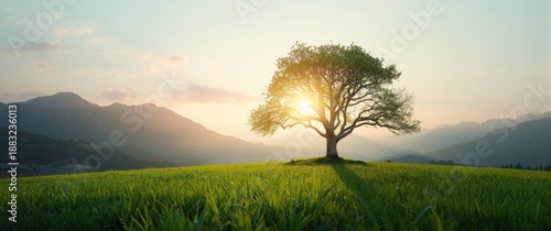 Inspirational Sayings and Images to Promote Success in Life