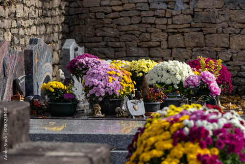 Cimetière avec des sépultures couvertes de fleurs fraiches à l'occasion de la Toussaint. France