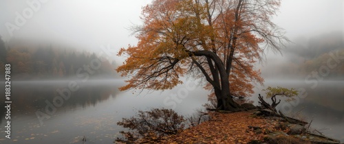 Autumn fog over Hall Lake's...