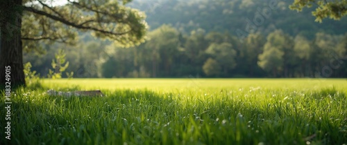 Shallow depth of field with fresh grass backdrop