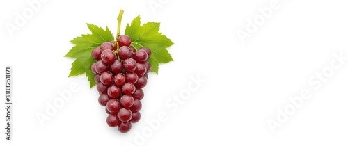 White background with red g...