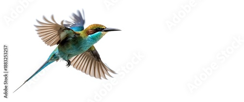 White background with Blue-...