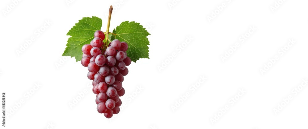 Fototapeta premium Full depth of field of ripe red grape bunch isolated at white blackground