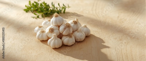 Closeup of white garlic hea...