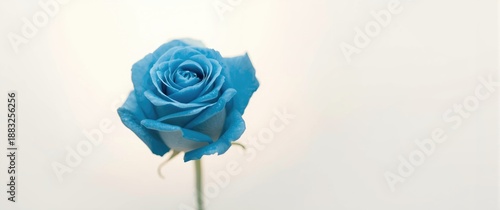 Cobalt flower