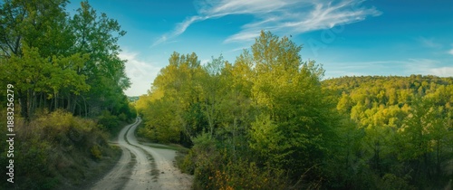 Scenic view of a path in de...