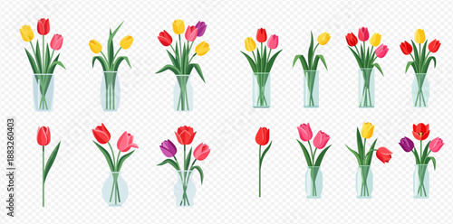 Set of colorful tulip bouquets in glass vases and single flowers, spring floral decoration.