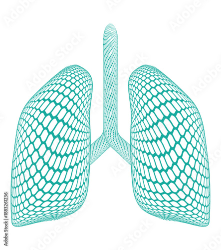 Abstract Human lungs Mesh Shape 3D Icon
