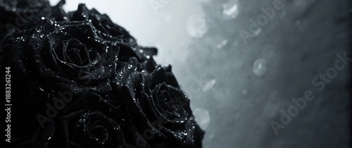 Background featuring black ...