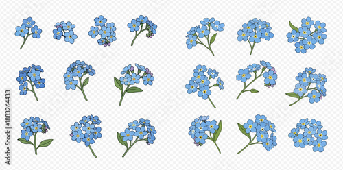 Collection of blue forget-me-not flowers with green leaves, vector illustration set isolated on transparent background.