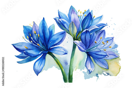 Blue Agapanthus Flower Watercolor, African Lily Botanical Vector Isolated on White