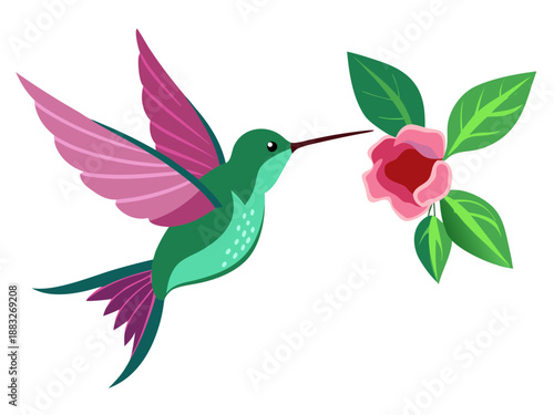 hummingbird and flower