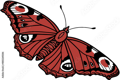 butterfly on white background