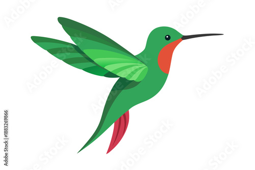 hummingbird on green background
