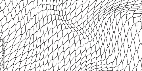 Mesh texture for fishing nets. Grunge pattern for sportswear or soccer goal, volleyball net, basketball hoop, hockey, athletics. Mesh background
