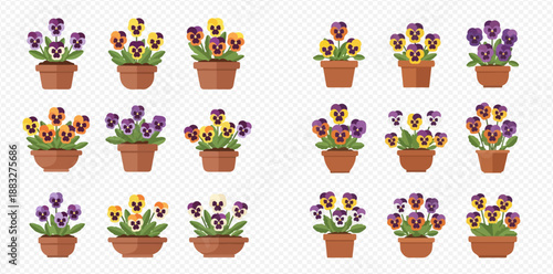 Set of potted pansy flowers in various colors and arrangements, perfect for spring and garden themes.
