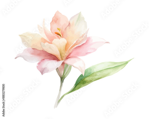Watercolor Alpinia Flower Art, Soft Exotic Botanical Painting, vector illustration 