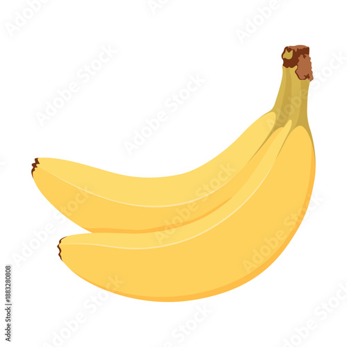 Bunch of bananas. Two simple hand drawn bananas.