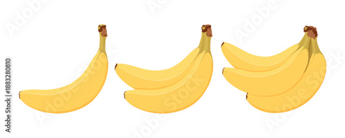 Set of banana bunches. Juicy and bright summer fruit.