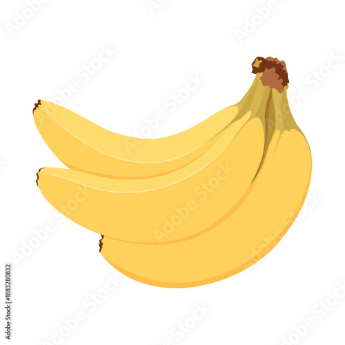 Bunch of bananas. Three simple hand drawn bananas.