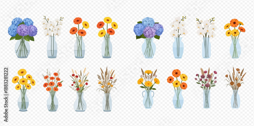 Set of various flowers in glass vases, including hydrangeas, gladioli, gerberas, poppies, and dried plants, on a transparent background.