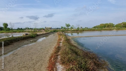 Wallpaper Mural Traditional Fish Ponds in Rural Area - Wetland Aquaculture Landscape Torontodigital.ca