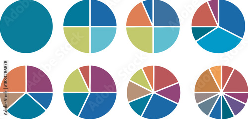 Colorful circular pie charts with multiple segmented divisions isolated