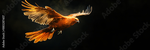 Emerging from the ashes - a phoenix's ascent symbolizes the indomitable spirit of rebirth wide banner - black background