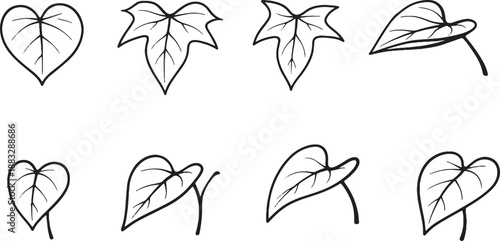 Obraz na plátně Sweet Potato Leaf Icon Set Black and White Botanical Line Art