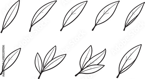 Laurel Leaf Icon Set Black and White Botanical Line Art