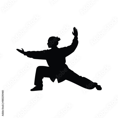 Tai Chi Repulse Monkey Pose Silhouette Vector