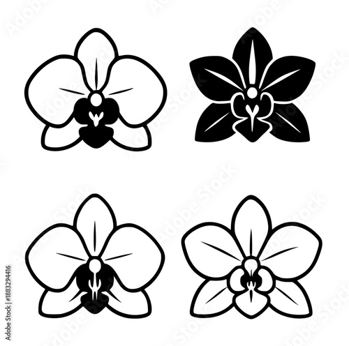4 orchid flower illustrations, black, transparent background