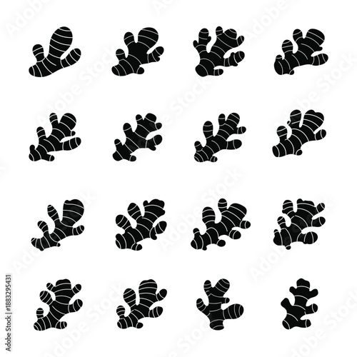 Ginger root icon silhouette vector isolated design