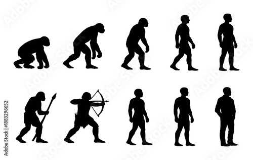 Evolutionary progression from ape to modern human standing upright