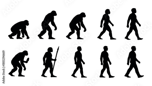 Evolutionary progression: silhouette of human evolution stages