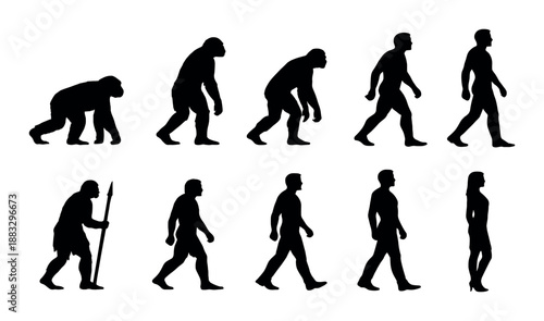 Evolution silhouette chart showing stages from primate to human