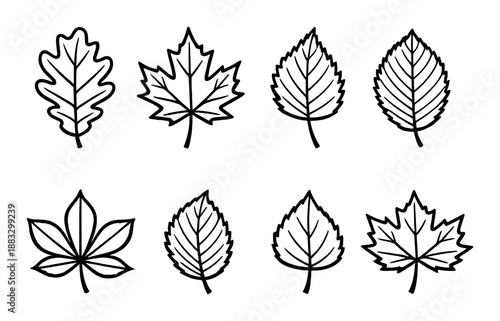 Collection of diverse leaf silhouettes with varied shapes and patterns