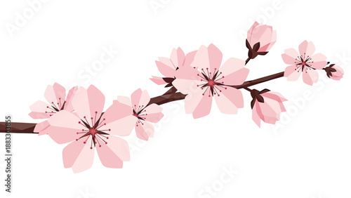 A geometric illustration of a blossoming branch, showcasing pink flowers and buds against a white background