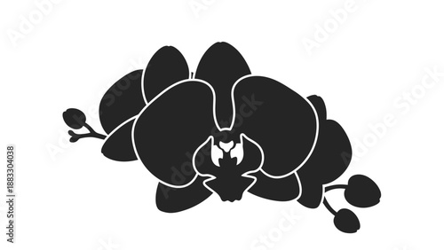 Vector illustration of a black orchid flower with white outlines, isolated on a white background
