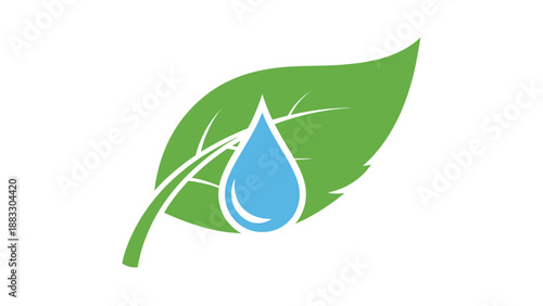 A green leaf with a water droplet in the center, on white background