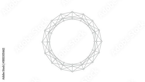 A complex network diagram in a circular shape. Gray lines and dots on a white background