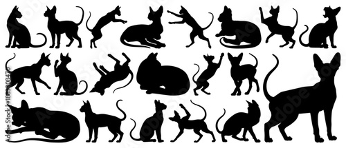 Sphynx Cat Silhouettes in Various Poses and Elegant Postures on Transparent Background