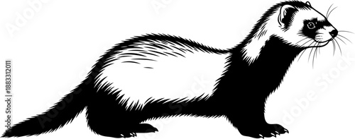 Black and white ferret illustration in a side profile view with masked face