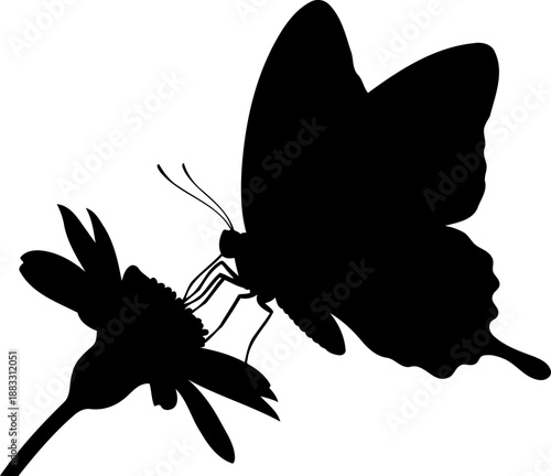 Butterfly silhouette perched on a flower while feeding with wings held upright