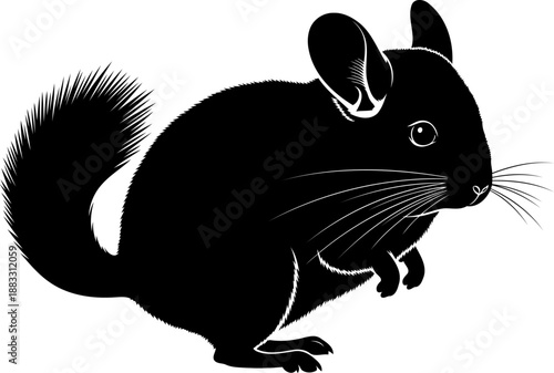 Chinchilla black and white illustration in side profile with a bushy tail