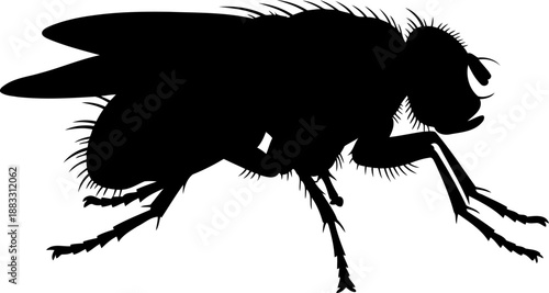 Common housefly insect silhouette in side profile with hairy body and translucent wing shape
